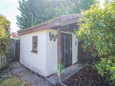 Picture 15